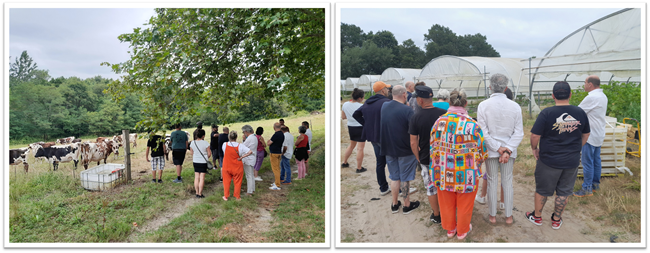OPF Bis Visites